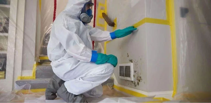 Mold Removal & Remediation in Greater Boston, MA